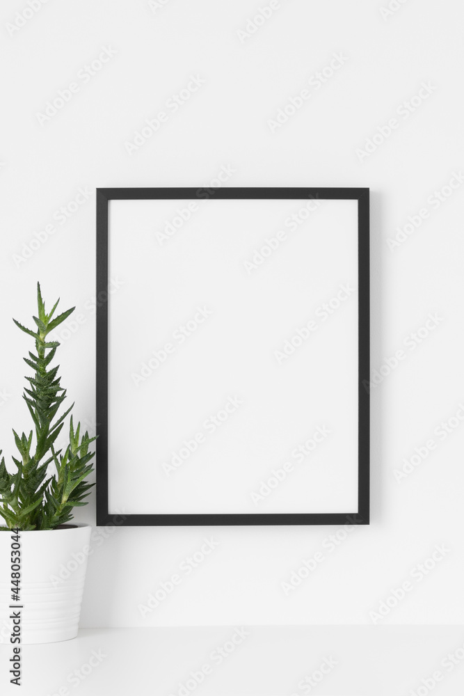 Black frame mockup on the wall with a aloe vera. Black frame mockup on the wall with a aloe vera.