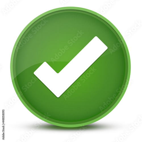Checkmark luxurious glossy green round button abstract