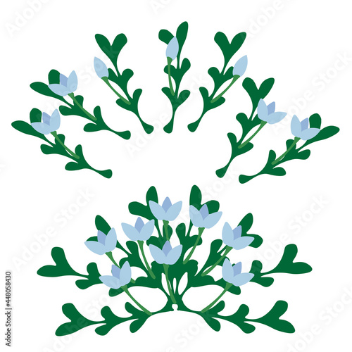 A set of flowers, plants and leaves. Vector illustration.