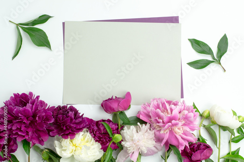 Fototapeta Naklejka Na Ścianę i Meble -  Gray sheet of paper in a frame of peonies. Blank for a greeting card or invitation. Top view of a blank sheet of paper with place for text. flower composition