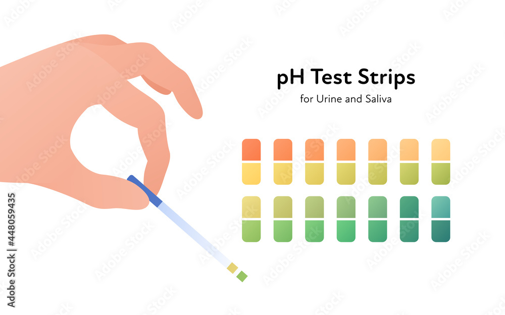 Ph strips scale infographic. Vector flat healthcare infographic. Human hand hold test sample