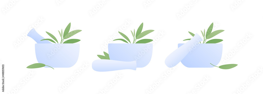 Aromatherapy and herbal medicine concept. Vector flat illustration set. Collection of mortar with sage leaves isolated on white background. Design element