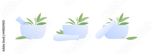 Aromatherapy and herbal medicine concept. Vector flat illustration set. Collection of mortar with sage leaves isolated on white background. Design element