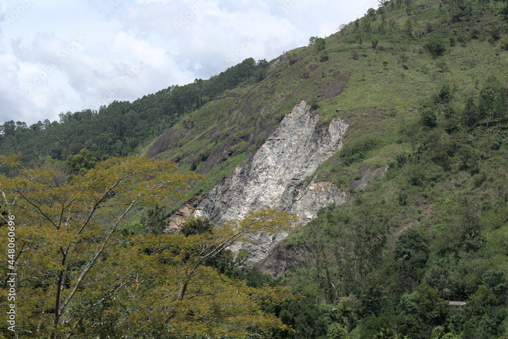 Fototapeta premium landscape in the mountains, Location: Ella Sri Lanka