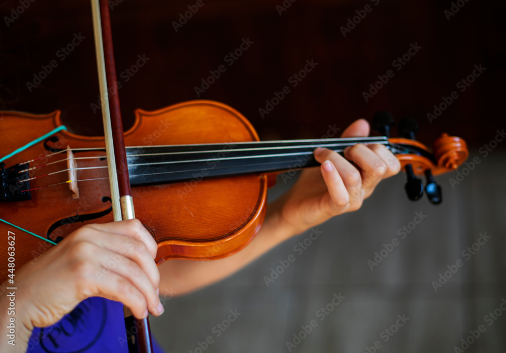 little violinist playing the violin top view, horizontal little violinist playing the violin top view, horizontal