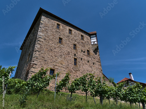 Low angle view of the tower of historic castle Burg Wildeck with stone wall in Abstatt, Baden-Württemberg, Germany on sunny summer day with green colored vineyards in front.