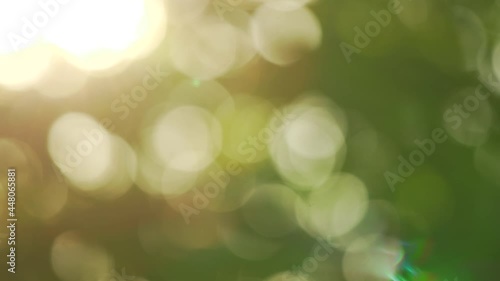 4k video footage of sunset soft sunlight of sun star shining and sparkling through fresh spring or summer leaves of green trees isolated on sky background. Abstract natural sunny bokeh backdrop