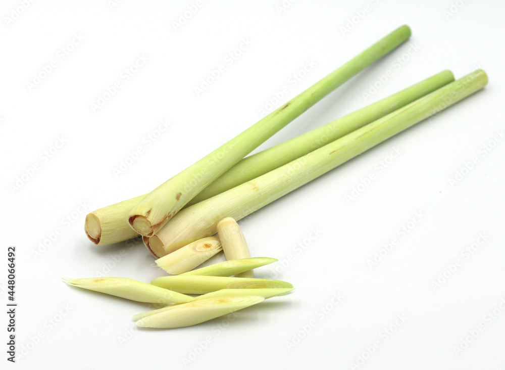 herb lemongrass isolated on white background herb lemongrass isolated on white background