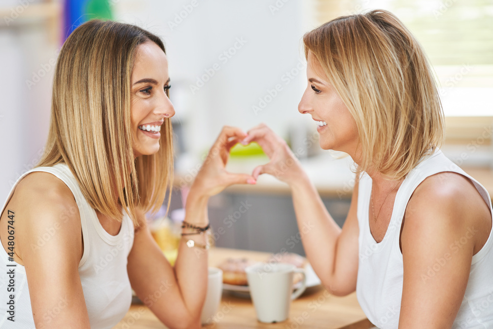 LGBT Lesbian couple love moments in the kitchen happiness concept LGBT Lesbian couple love moments in the kitchen happiness concept