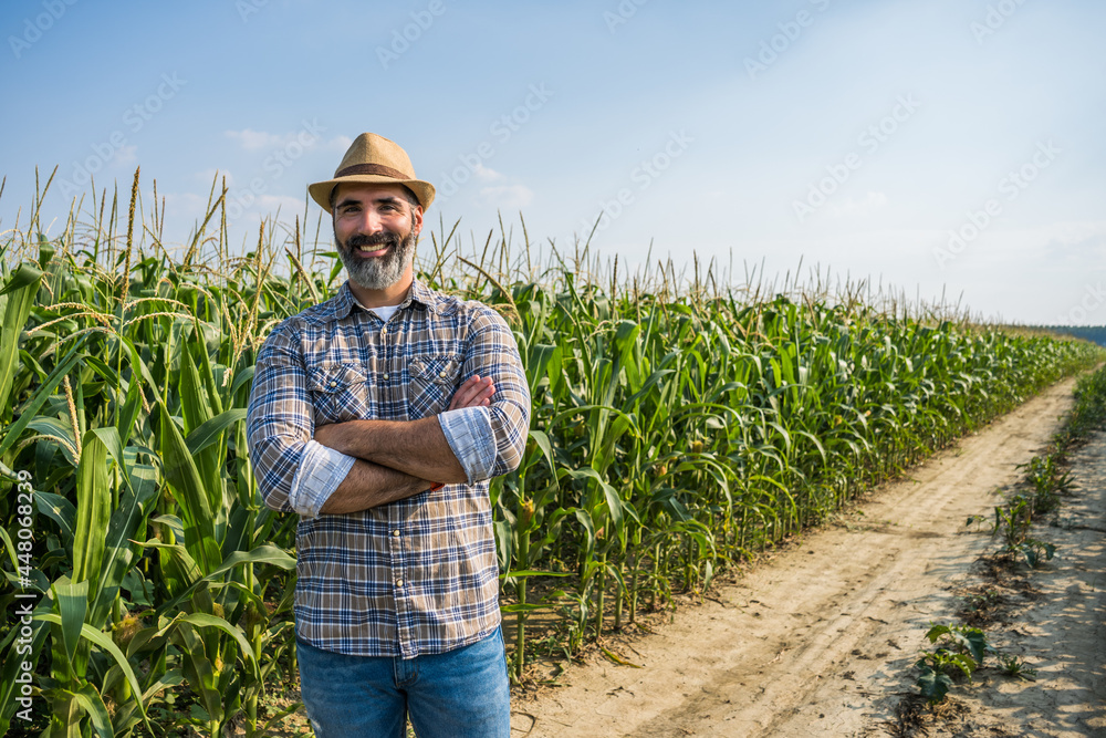 Fototapeta premium Proud farmer is standing in his growing corn field. He is satisfied because of successful season.