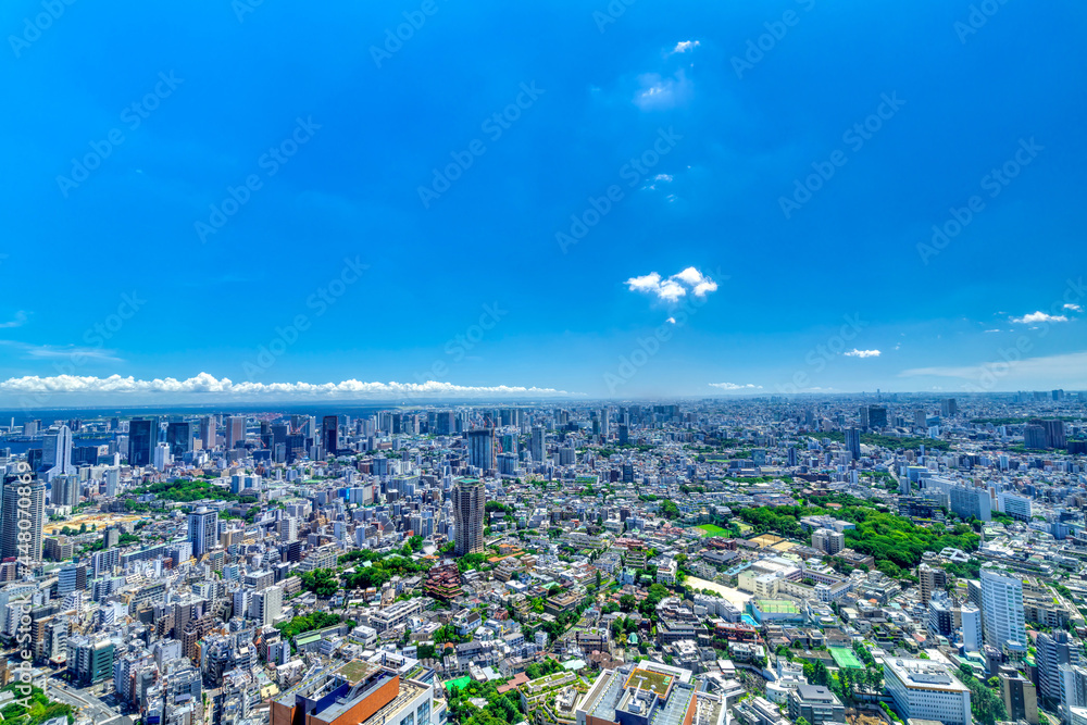 東京風景　2021年　青空と緑と地平線