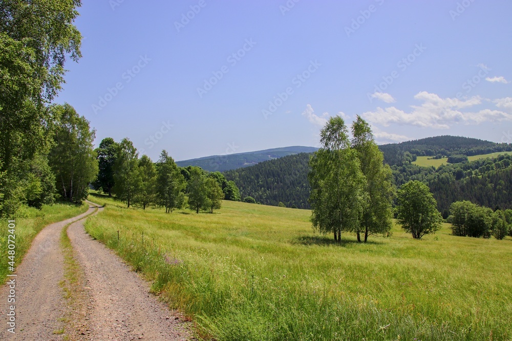 The beautiful nature in the place of the lost village Stodulky at Sumava, Czech republic