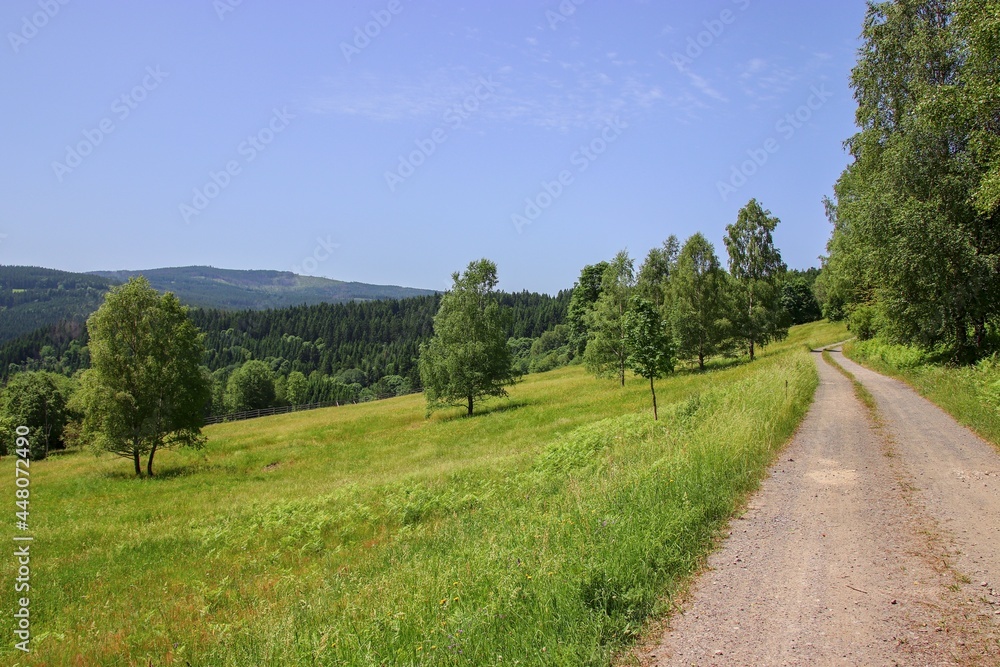 The beautiful nature in the place of the lost village Stodulky at Sumava, Czech republic The beautiful nature in the place of the lost village Stodulky at Sumava, Czech republic