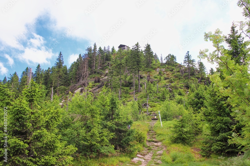 A view to the peak of the mountain Grosser Osser at the border of Germany A view to the peak of the mountain Grosser Osser at the border of Germany