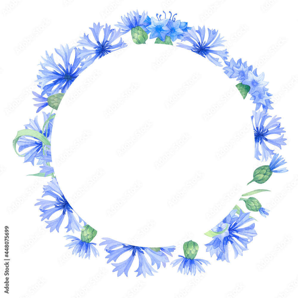 Round frame with blue cornflower flowers, a wreath of summer field grasses and leaves. watercolor illustration with summer herbs, meadow flowers
