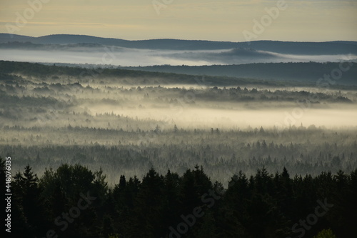 A fog on a July morning over the Appalachians, Sainte-Apolline, Québec, Canada