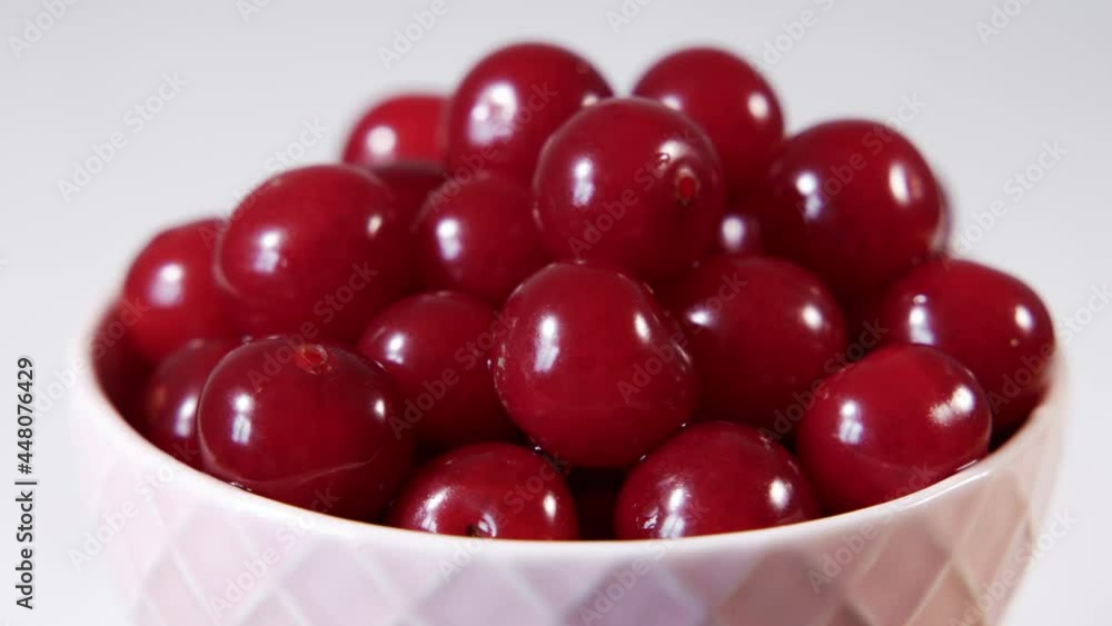 Fresh juicy wet red cherry rotation. Bird-cherry berries. Loop motion. Fresh juicy wet red cherry rotation. Bird-cherry berries. Loop motion.