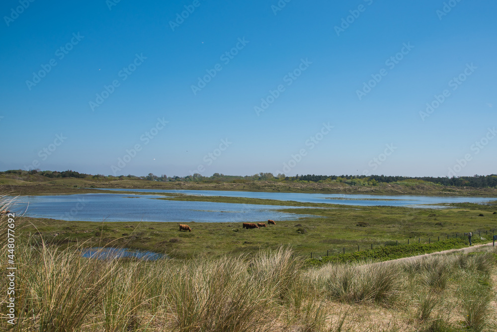 Den Helder, the Netherlands. July 2021. The dune landscape and the coast of North Holland.
