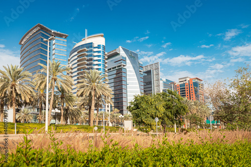 Spacious lawn and palm trees with tall residential or office skyscrapers