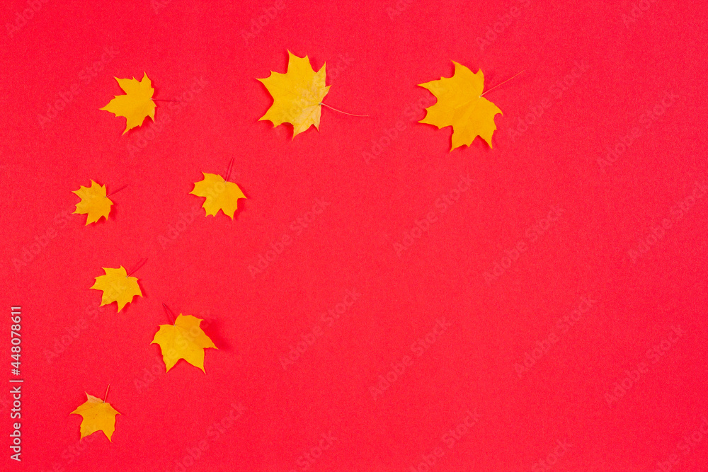 Autumn composition. Frame made of autumn maple leaves on red background