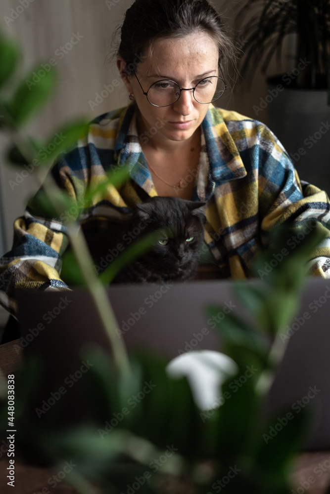 Front view of caucasian woman working on laptop from home, in cozy atmosphere, with flowers on the desk. Pretty female wearing round eyeglasses using laptop, watching in screen.