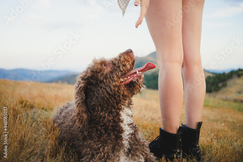Anonymous woman with fluffy dog on meadow photo
