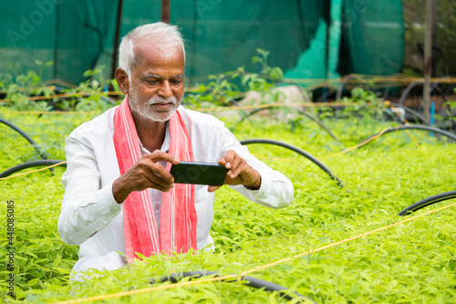Canvas Print Farmer capturing photos of crop saplings or plants at greenhouse or polyhouse to