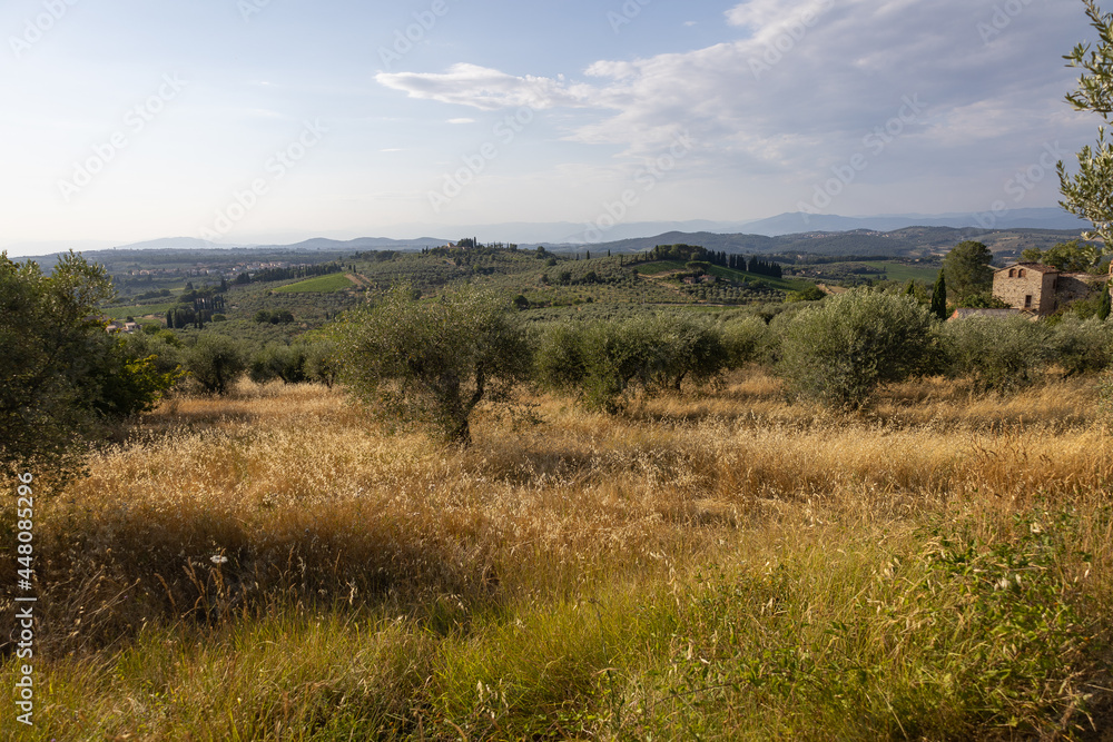 Toskana Ausblick auf Berge Hügel und Weinberge 