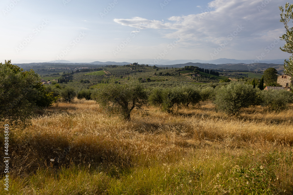 Toskana Ausblick auf Berge Hügel und Weinberge 
