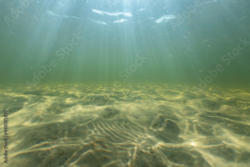 Canvas Print Transparent sea water with sandy bottom and sun underwater rays