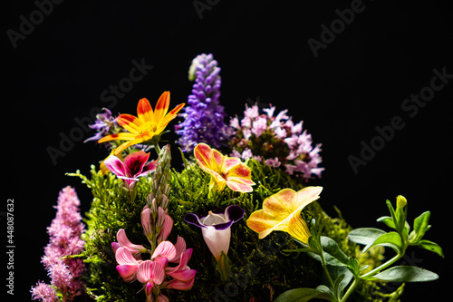 flower on the black background