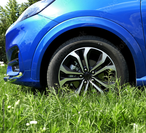 Flattened Lawn Under Vehicle Wheel Detailed   © AnyVIDStudio