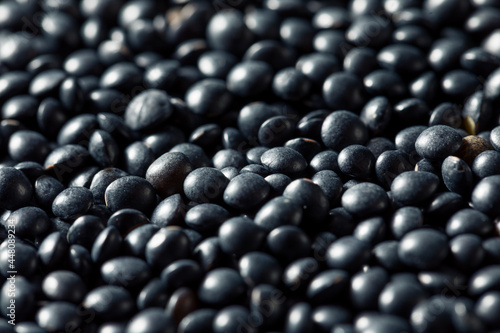 Healthy Organic Black Lentils