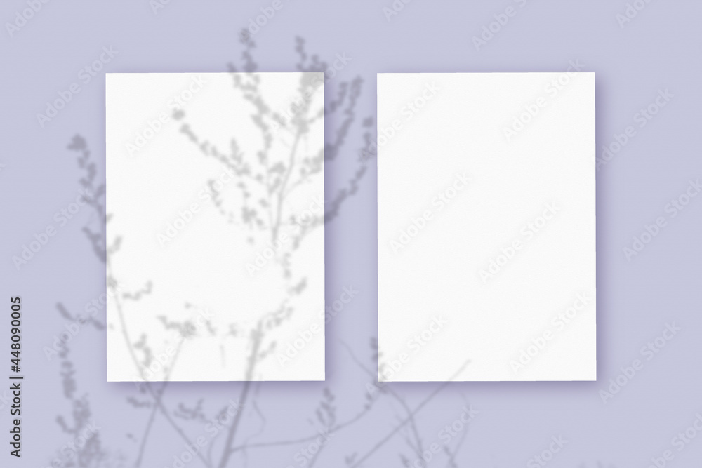 Natural light casts shadows from the plant on 2 vertical sheets of white textured paper format, lying on a violet textured background. Mockup Natural light casts shadows from the plant on 2 vertical sheets of white textured paper format, lying on a violet textured background. Mockup