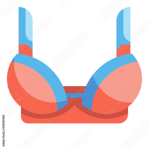 brassiere flat icon