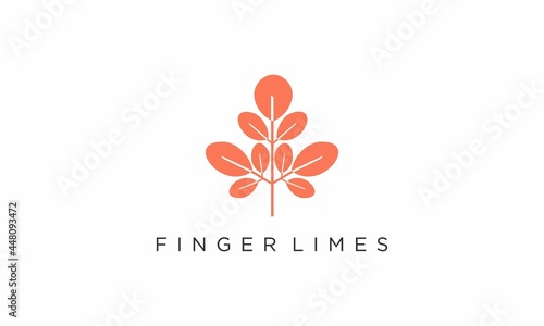 lime tree vector design logo