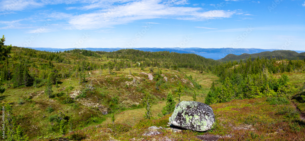 A wide panoramic view of the taiga forests and valleys of Northern Norway under the blue summer sky and with the ocean on the horizon.
