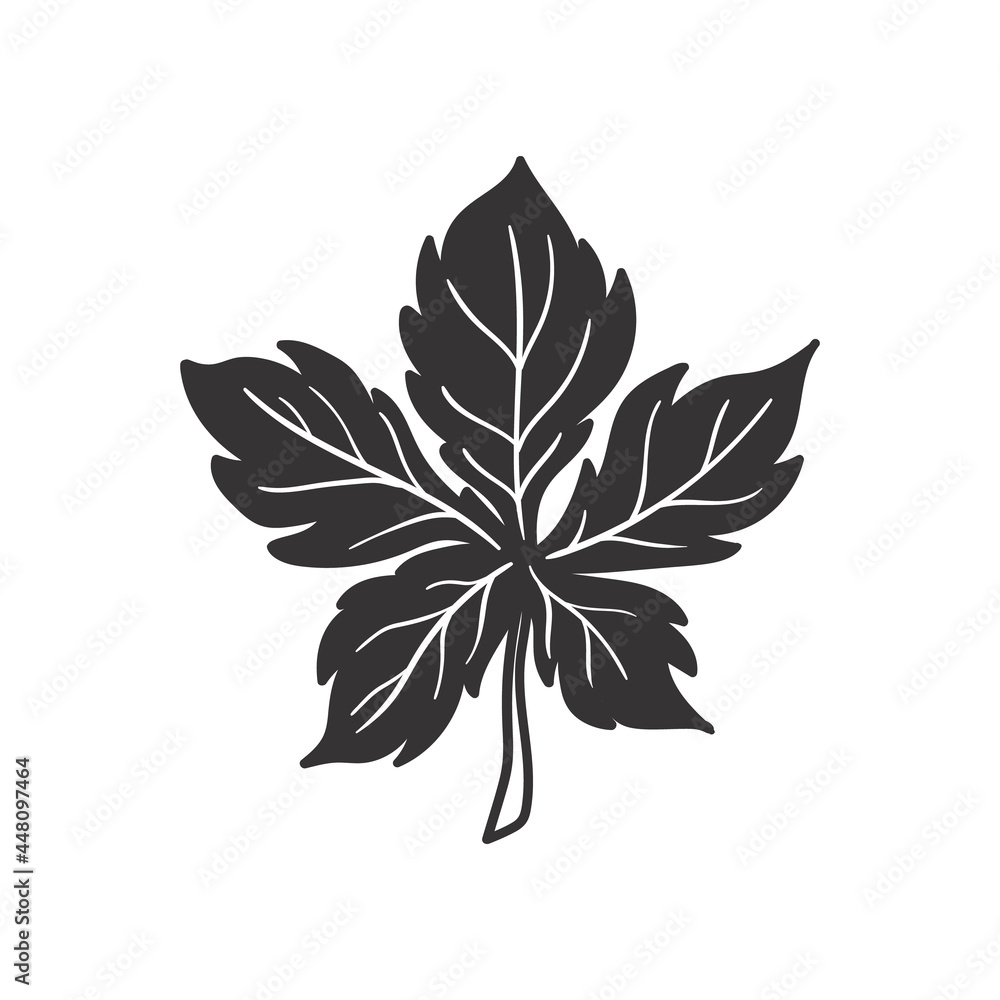 Hand drawn autumn leaves doodle colorless illustrations. Сute vector objects. Illustrations for poster, background or card.