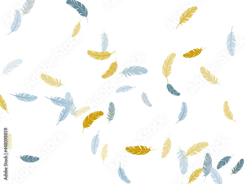 Fluffy twirled feathers on white design.