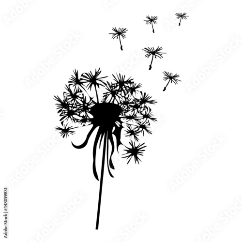 Dandelion silhouette - vector illustration