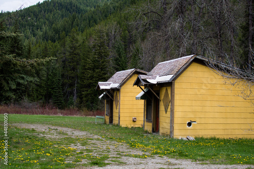 yellow building in forest