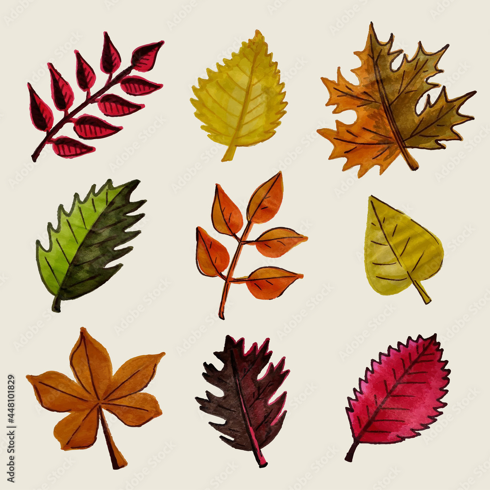 Set of autumn leaves. Yellow, orange, red leaves on the trees. Maple, birch, poplar, oak, aspen. All objects are isolated and can be moved. Set of autumn leaves. Yellow, orange, red leaves on the trees. Maple, birch, poplar, oak, aspen. All objects are isolated and can be moved.