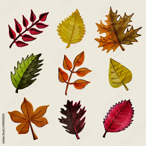 Set of autumn leaves. Yellow  orange  red leaves on the trees. Maple  birch  poplar  oak  aspen. All objects are isolated and can be moved.