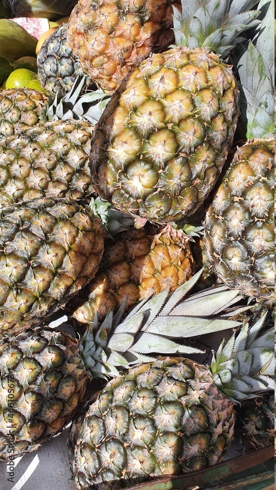 Pineapples on display at the Brazilian fair Pineapples on display at the Brazilian fair