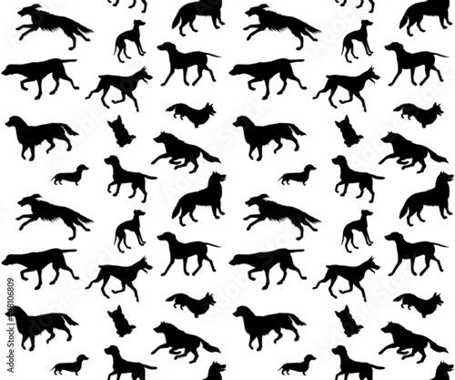 Vector seamless pattern of hand drawn different dog breed silhouette isolated on white background © Sweta