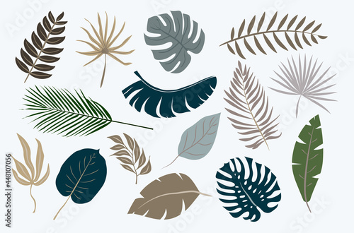 collection of tropical leaves isolated on white background, vector illustration