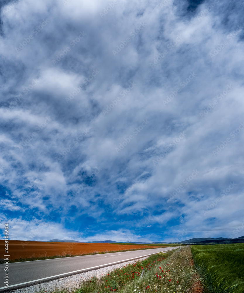 Straight road in the middle of the crops under the cloudscape