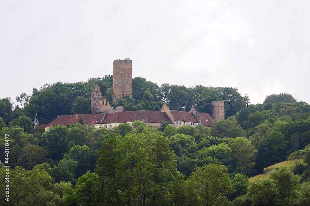The Guttenberg Castle in the Neckar Valley, Baden-Württemberg in Germany, Europe