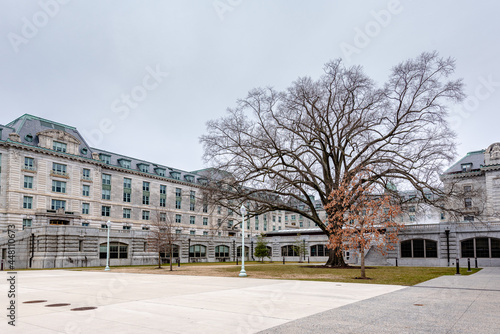 Courtyard on U.S Naval Academy, Annapolis, Maryland with giant tree  © Matthew Tighe