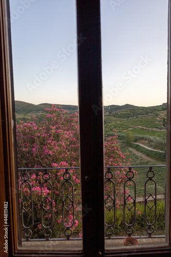 Ausblick aus einem Holzfenster in der Toscana in die Weinberge